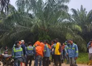 Dua Mahasiswa Geologi UHO Hilang di Hutan Meluhu Konut, Tim SAR Lakukan Pencarian