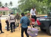 182 Ekor Burung Sitaan Dilepasliarkan di Suaka Alam Tanjung Peropa Konsel
