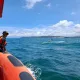 IMG 20260202 WA0003