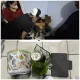 IMG 20260325 WA0071