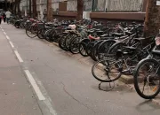 651854578 1415947313664661 7959326419014576379 n