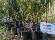 Inovasi dan Semangat Penghijauan, Ucapan Selamat Ulang Tahun Disampaikan Dalam Bentuk Bibit Buah dan Bunga Hiasi HUT Ke-80 TNI AU di Lanud Haluoleo