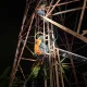 IMG 20260412 WA0017