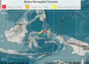 Gempa Bumi Magnitudo 7,6 di Bitung, Terdeteksi Gelombang Tsunami Kecil
