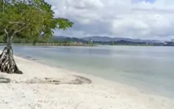 WISATA HITS KENDARI: Dari Landmark Megah hingga Pesona Teluk 7 Screenshot 20260415 214814 Facebook