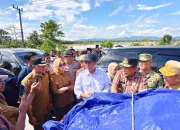 Mentan Tinjau Sawah Terdampak dan Korban Banjir di Sultra, Salurkan Bantuan Rp10 Miliar