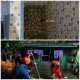 IMG 20260511 WA0069