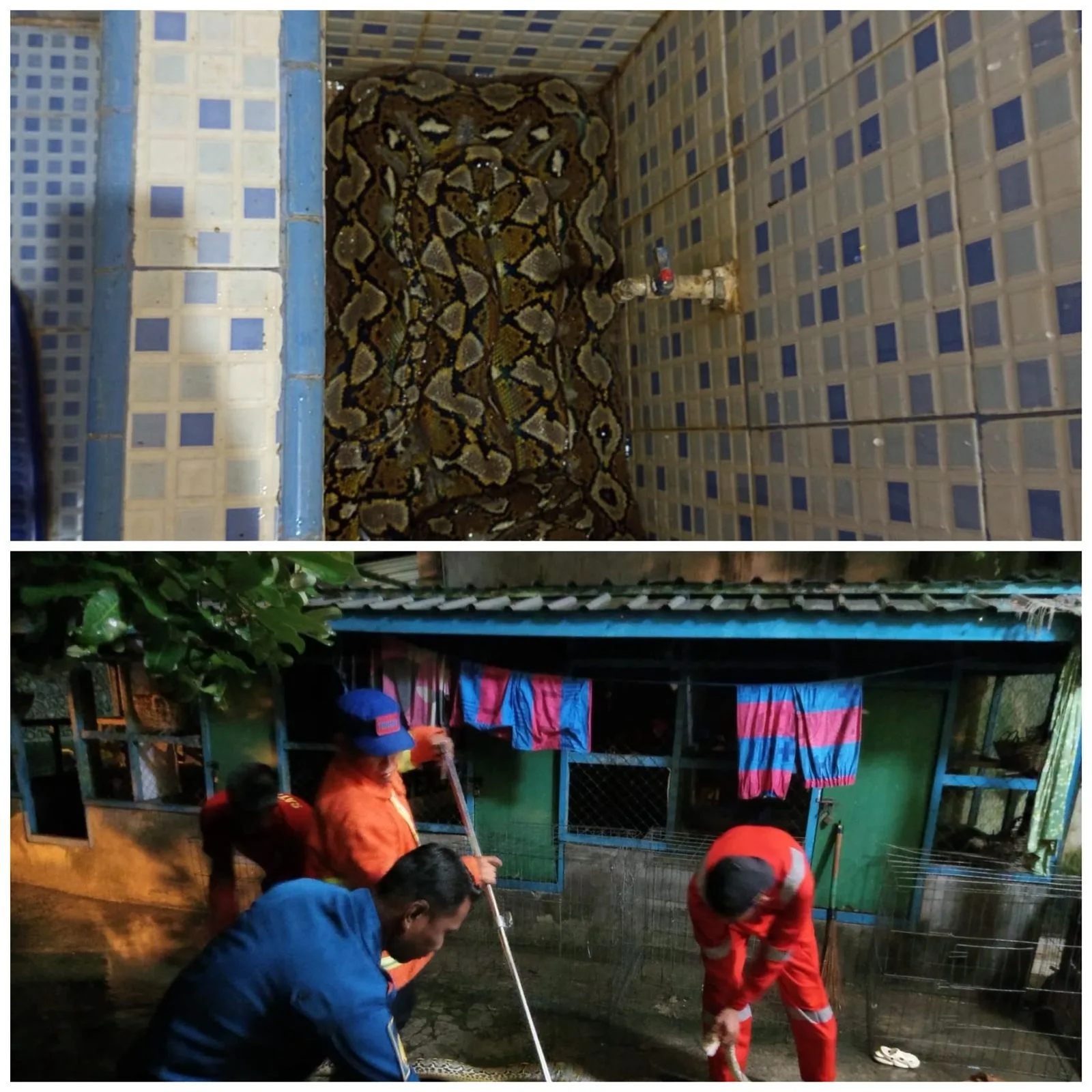 IMG 20260511 WA0069