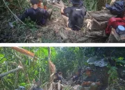 Gakkum Kehutanan Tindak Pembalakan Liar di Kawasan Konservasi TWA Mangolo Kolaka, Dua Orang Ditetapkan Tersangka 12 IMG 20260517 WA0030