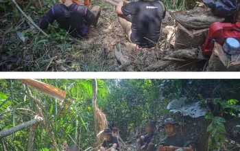 Gakkum Kehutanan Tindak Pembalakan Liar di Kawasan Konservasi TWA Mangolo Kolaka, Dua Orang Ditetapkan Tersangka 6 IMG 20260517 WA0030