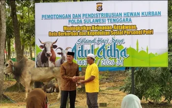 Polda Sultra Sembelih 366 Ekor Sapi dan 8 Ekor Kambing pada Idul Adha 1447 Hijriah 7 IMG 20260527 WA0039