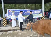 Lanud Haluoleo Serahkan 10 Sapi dan 1 Kambing Kurban pada Idul Adha 1447 H 10 IMG 20260528 WA0000