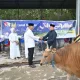 IMG 20260528 WA0000