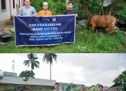 Wujud Kepedulian Sosial, Bank Sultra Distribusikan 23 Hewan Kurban di Sultra 9 IMG 20260528 WA0008