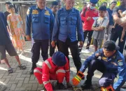 Buaya Masuk Permukiman Warga di Kambu, Damkar Kendari Lakukan Evakuasi