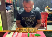 Satres Narkoba Polres Konsel Tangkap Terduga Pengedar Sabu di Laonti, Sita 47 Paket Siap Edar 9 IMG 20260613 WA0001