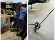 Tim Rescue Damkar Kendari Evakuasi Ular Hitam yang Masuk ke Rumah Warga di Puuwatu 9 IMG 20260619 WA0012