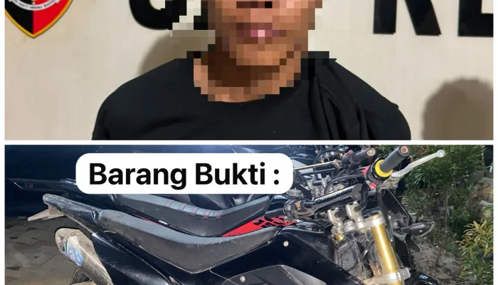 Residivis 3 Kali Dibekuk Reskrim Polresta Kendari Ungkap 33 TKP Pencurian