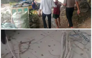 Curi Kabel Instalasi Listrik di Gedung Eks Fakultas Kehutanan UHO, Seorang Buruh Harian Ditangkap Polisi 3 IMG 20260622 WA0019