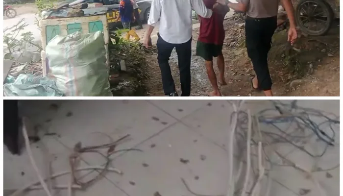 Curi Kabel Instalasi Listrik di Gedung Eks Fakultas Kehutanan UHO, Seorang Buruh Harian Ditangkap Polisi