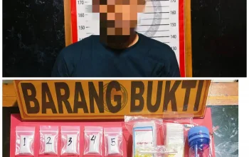 Diduga Edarkan Sabu, Pria di Konsel Ditangkap Polisi dengan Barang Bukti 7,95 Gram