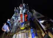 Kemenhut Gagalkan Penyelundupan 45 Meter Kubik Kayu Besi Ilegal di Perairan Buton Utara