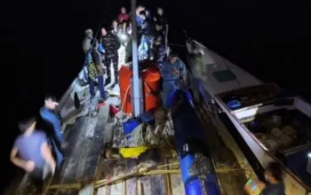 Kemenhut Gagalkan Penyelundupan 45 Meter Kubik Kayu Besi Ilegal di Perairan Buton Utara