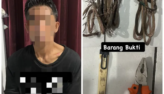 Diduga Curi Kabel Telkomsel, Pria di Kendari Ditangkap Tim Buser 77
