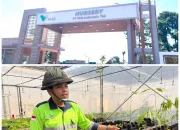 PT Vale Indonesia Siapkan 1 Juta Bibit per Tahun untuk Rehabilitasi Lahan Bekas Tambang 10 IMG 20260722 WA0013