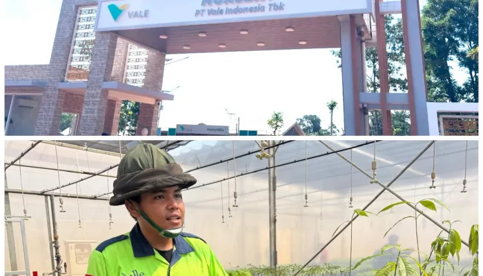 PT Vale Indonesia Siapkan 1 Juta Bibit per Tahun untuk Rehabilitasi Lahan Bekas Tambang