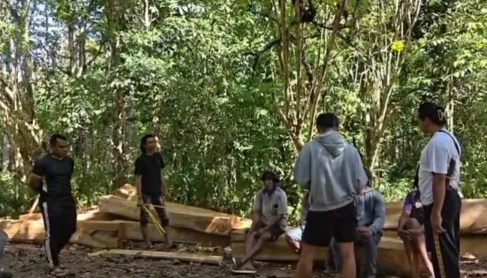 Polisi Amankan Lima Warga Diduga Tebang Ratusan Pohon Jati di Hutan Lindung Buton Selatan
