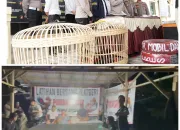 Polresta Kendari Bongkar Judi Sabung Ayam di Mandonga, 17 Orang Diamankan