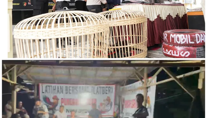 Polresta Kendari Bongkar Judi Sabung Ayam di Mandonga, 17 Orang Diamankan